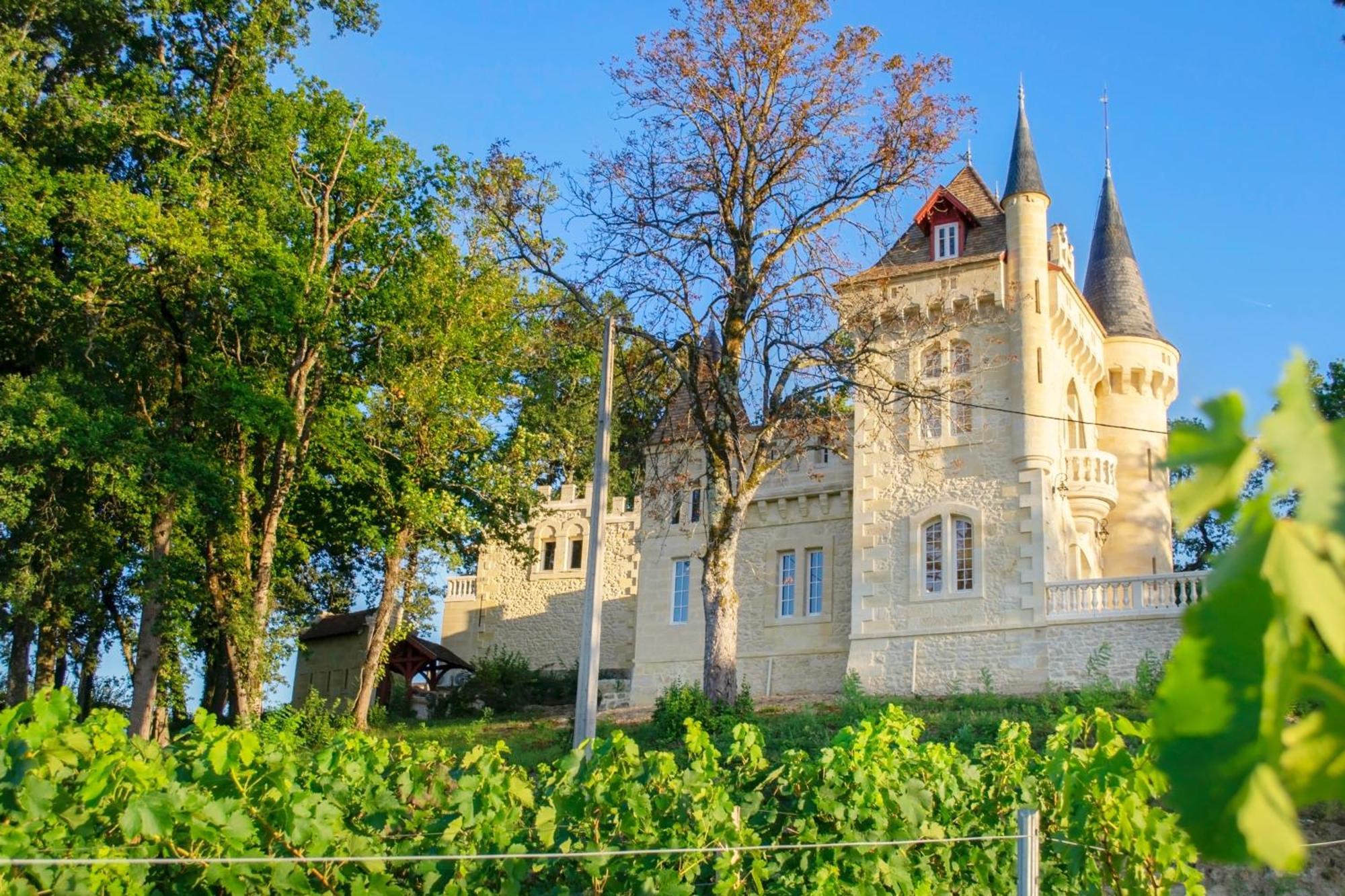 La Reserve Du Chateau De Roques Пюиссеген Экстерьер фото