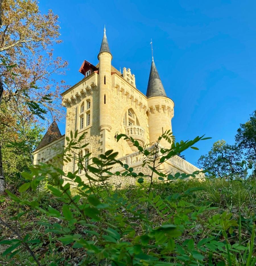 La Reserve Du Chateau De Roques Пюиссеген Экстерьер фото